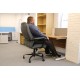 Goole Duo Fabric Heavy Duty 27 Stone Office Chair